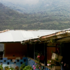 Zuid Colombia (237)