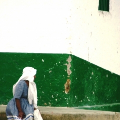 Zuid Colombia (238)
