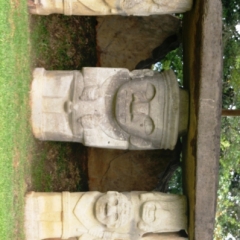 Zuid Colombia (246)