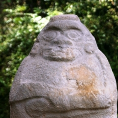 Zuid Colombia (253)