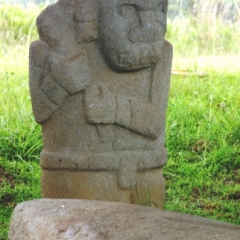 Zuid Colombia (261)