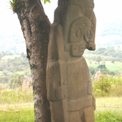Zuid Colombia (262)