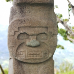 Zuid Colombia (263)