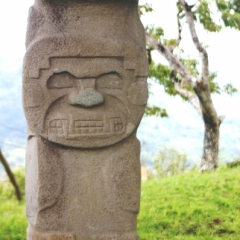 Zuid Colombia (264)