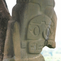 Zuid Colombia (265)