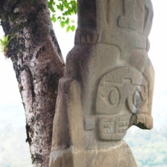 Zuid Colombia (266)