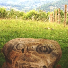 Zuid Colombia (270)