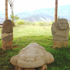Zuid Colombia (277)