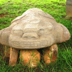 Zuid Colombia (278)