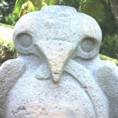 Zuid Colombia (290)