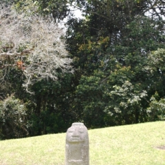Zuid Colombia (294)