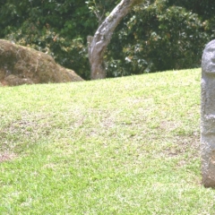 Zuid Colombia (296)