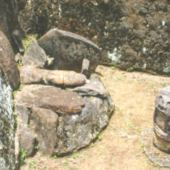 Zuid Colombia (298)