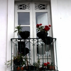 Zuid Colombia (3)