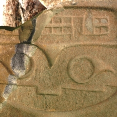 Zuid Colombia (309)