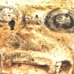 Zuid Colombia (310)