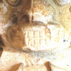Zuid Colombia (318)
