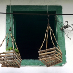 Zuid Colombia (32)
