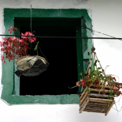 Zuid Colombia (33)