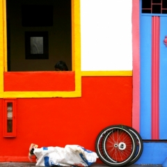 Zuid Colombia (45)