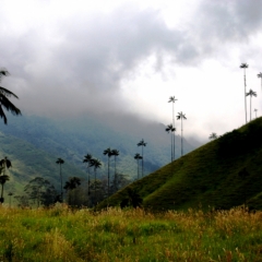Zuid Colombia (52)