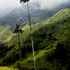 Zuid Colombia (57)