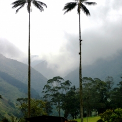 Zuid Colombia (58)
