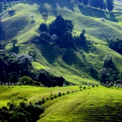 Zuid Colombia (65)