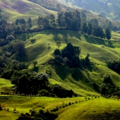 Zuid Colombia (66)
