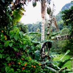 Zuid Colombia (67)
