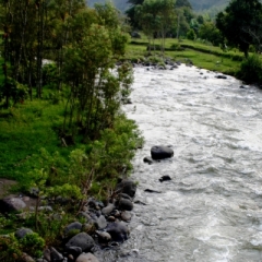Zuid Colombia (73)