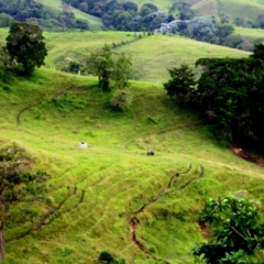 Zuid Colombia (75)