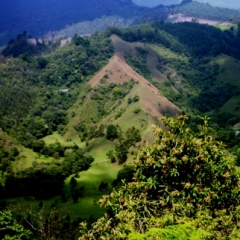 Zuid Colombia (76)