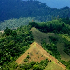 Zuid Colombia (77)