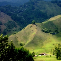 Zuid Colombia (78)
