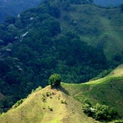 Zuid Colombia (79)