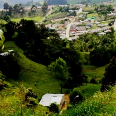 Zuid Colombia (80)