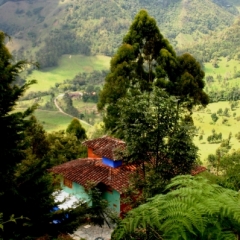 Zuid Colombia (81)
