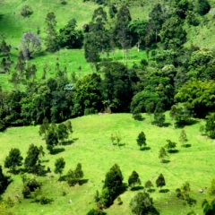 Zuid Colombia (82)