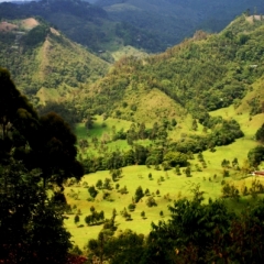 Zuid Colombia (83)