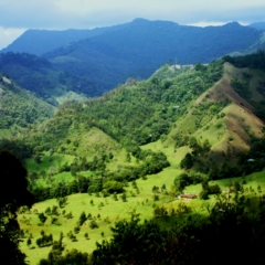 Zuid Colombia (84)
