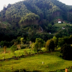 Zuid Colombia (85)