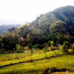 Zuid Colombia (86)