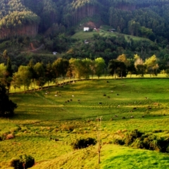 Zuid Colombia (87)