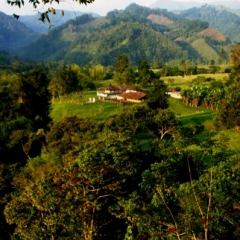 Zuid Colombia (88)