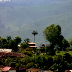 Zuid Colombia (96)