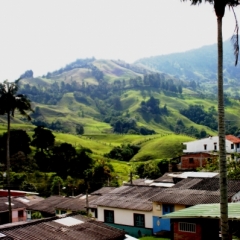 Zuid Colombia (97)