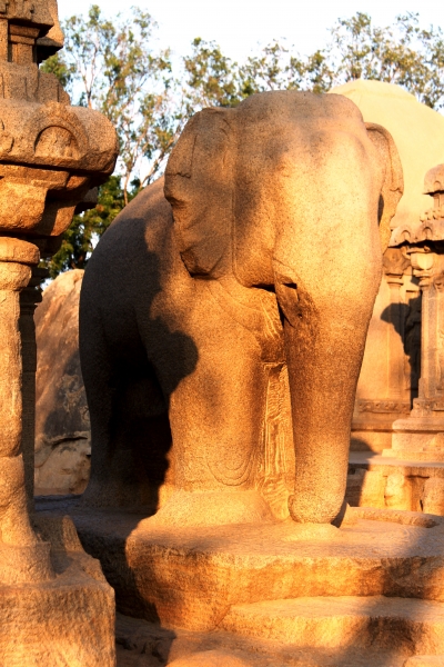 Zuid Oost India (143)