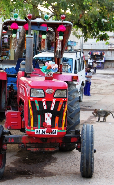 Zuid Oost India (209)