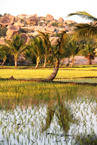 Zuid Oost India (220)